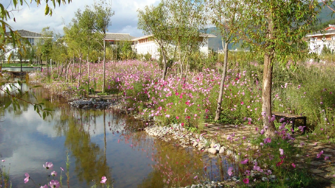 云南大學旅游文化學院——校園景觀圖(小徑)