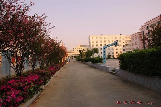 云南國土資源職業(yè)學院_花開滿園